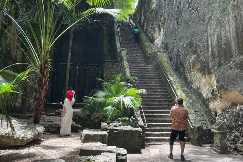 A person in a white dress descending a stone staircase surrounded by tropical plants. 2