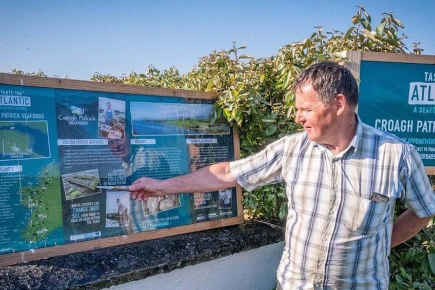 Oyster farm tour & tasting with local expert Clew Bay County Mayo 2