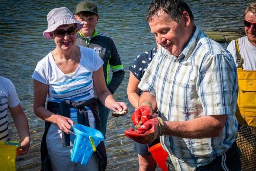 Oyster farm tour & tasting with local expert Clew Bay County Mayo 3