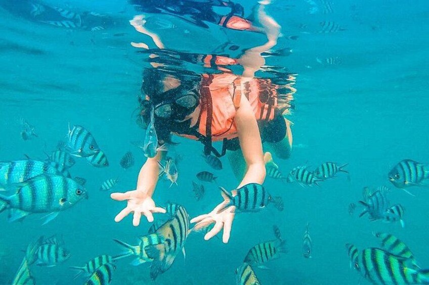 Pig Island, Koh Mat Sum, and Koh Tan Tour from Koh Samui 5