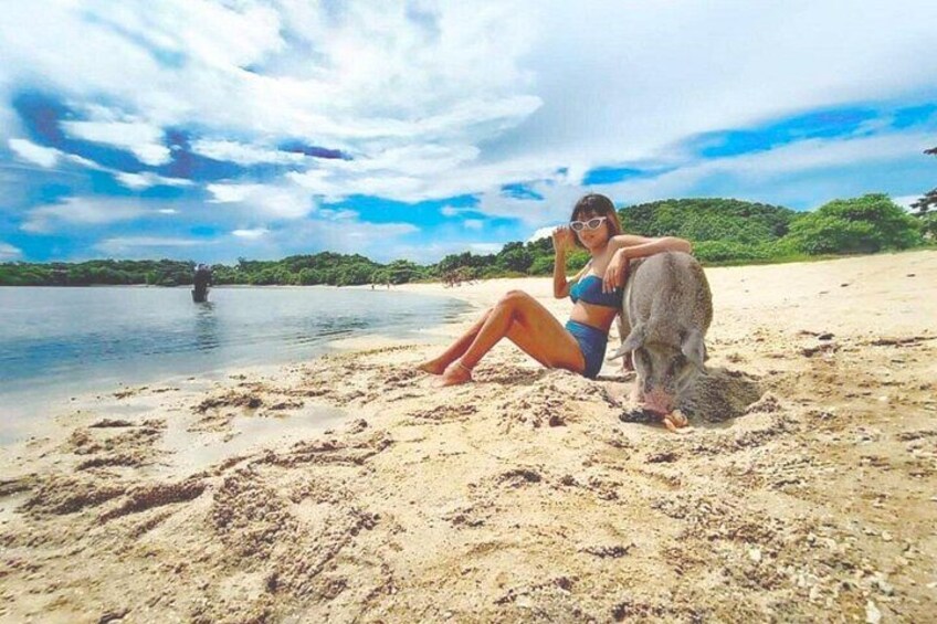 Pig Island, Koh Mat Sum, and Koh Tan Tour from Koh Samui 2