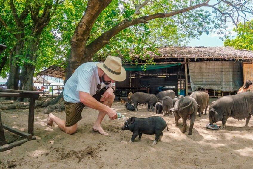 A man interacting with pigs in a rural setting. 3