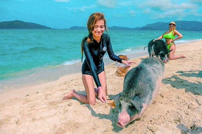 Pig Island, Koh Mat Sum, and Koh Tan Tour from Koh Samui 2