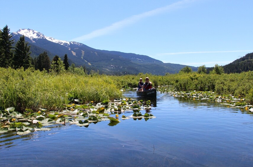 River of Golden Dreams Canoe or Kayak Tour - Private Guided