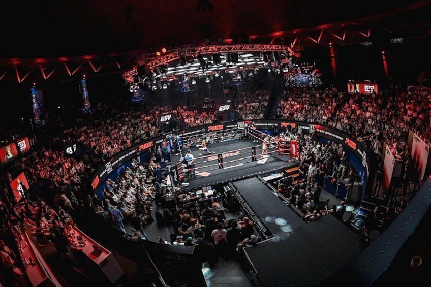 A boxing ring surrounded by a large audience in a stadium. 3