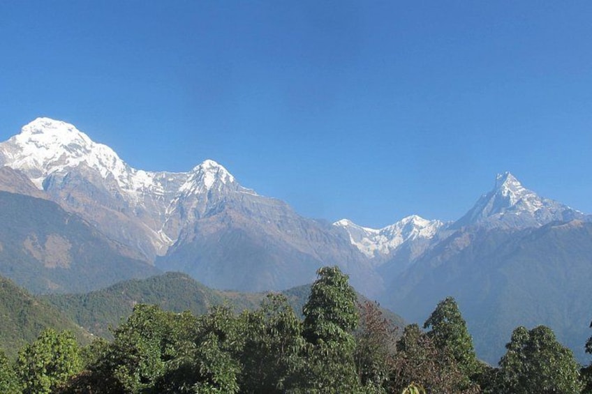 A mountain range with snow-capped peaks and dense forest in the foreground. 3