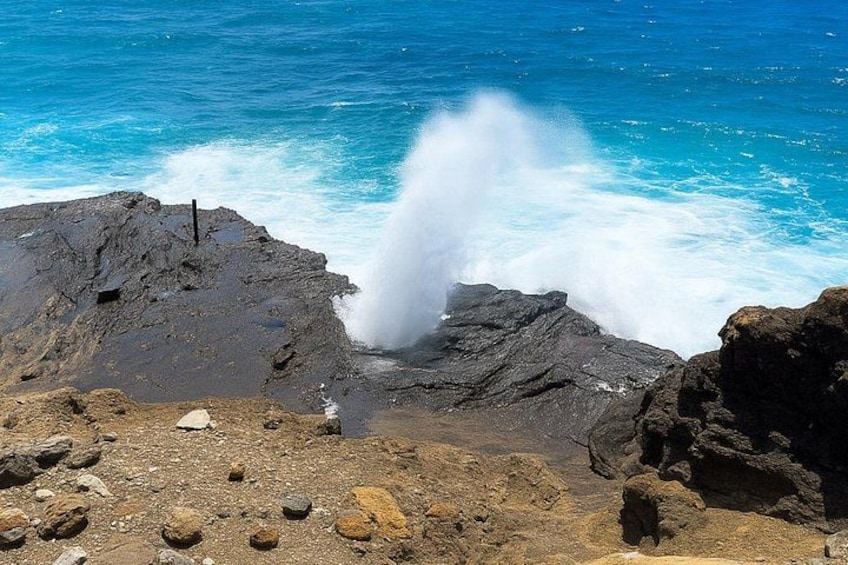 Private East Oahu Highlights Tour Byodo In Temple & Pali Lookout 3