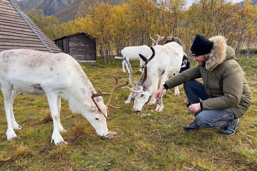 A person interacting with a reindeer in a grassy field with a wooden structure in the background. 1