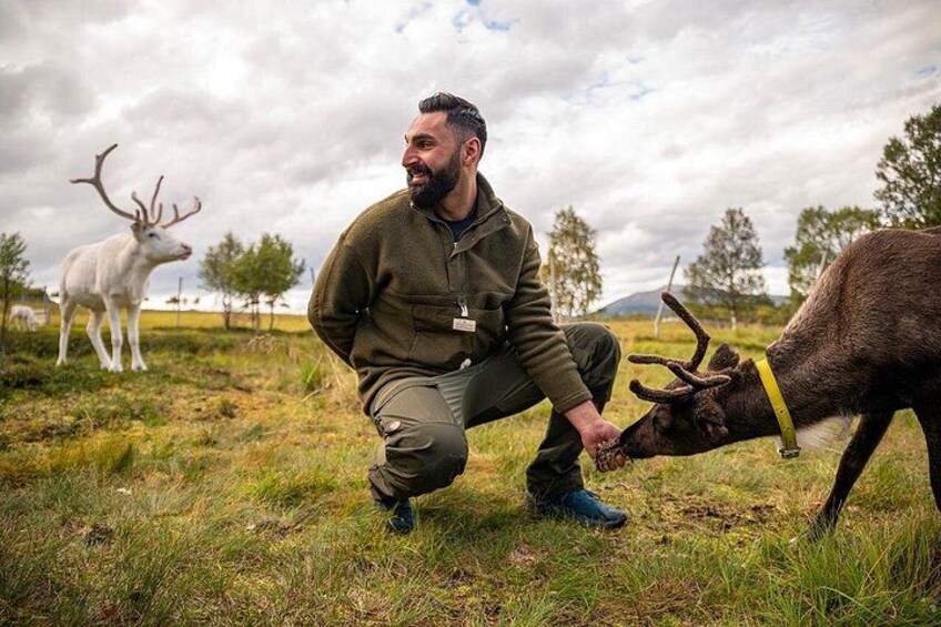 A person crouching in a grassy field with a deer, another deer in the background, and a cloudy sky. 4
