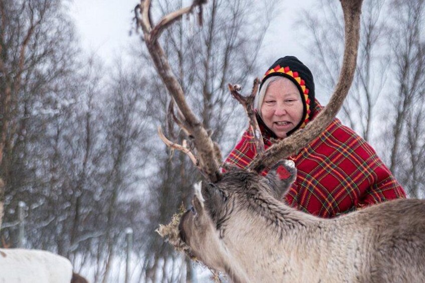 A person in a red plaid coat interacting with a reindeer in a snowy forest. 2