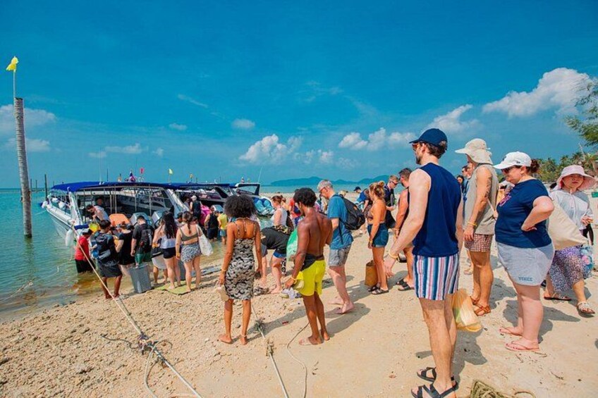 Pig Island and Koh Tan Snorkeling Fun by Speedboat from Samui 4