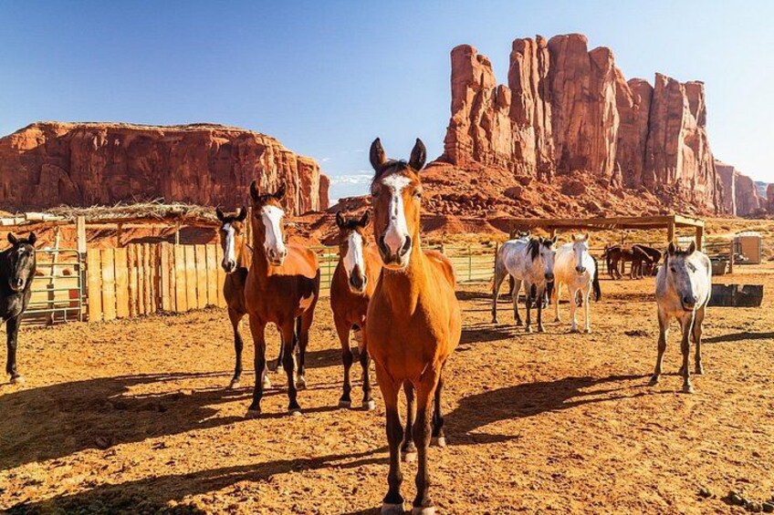 Monument Valley & Mesa Verde – Self-Guided Tour Bundle 4