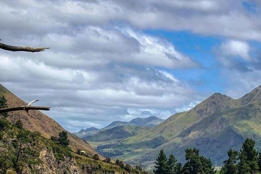 A mountainous landscape with a clear sky and a fallen tree. 2