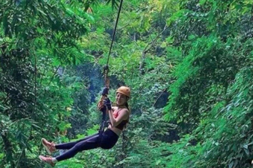 A person zip-lining through a dense forest. 2