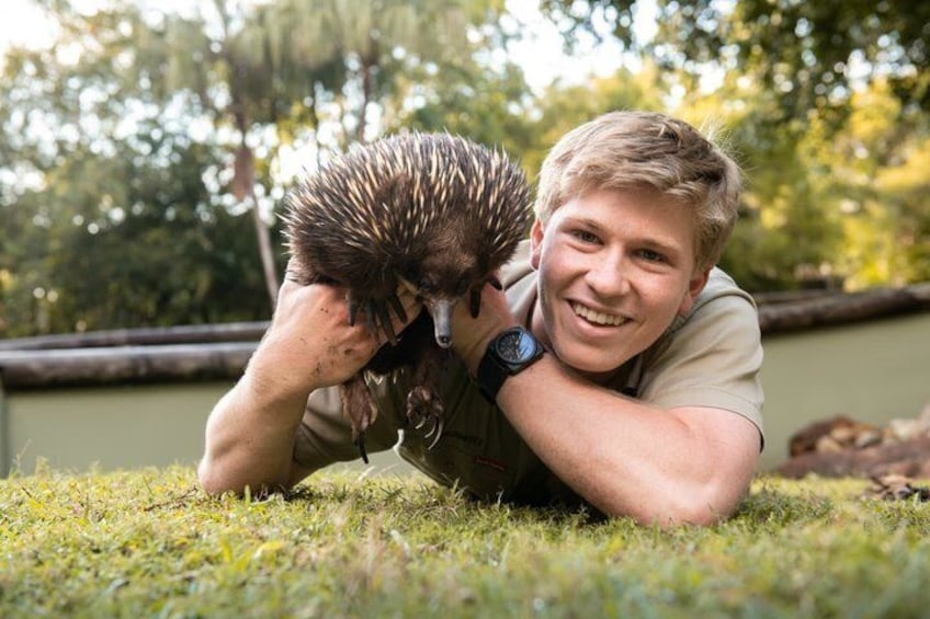Australia Zoo Private Group Tour from Brisbane 1