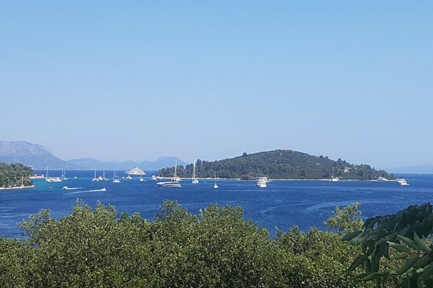Korčula Island Half Day Tour with a Local Guide 2