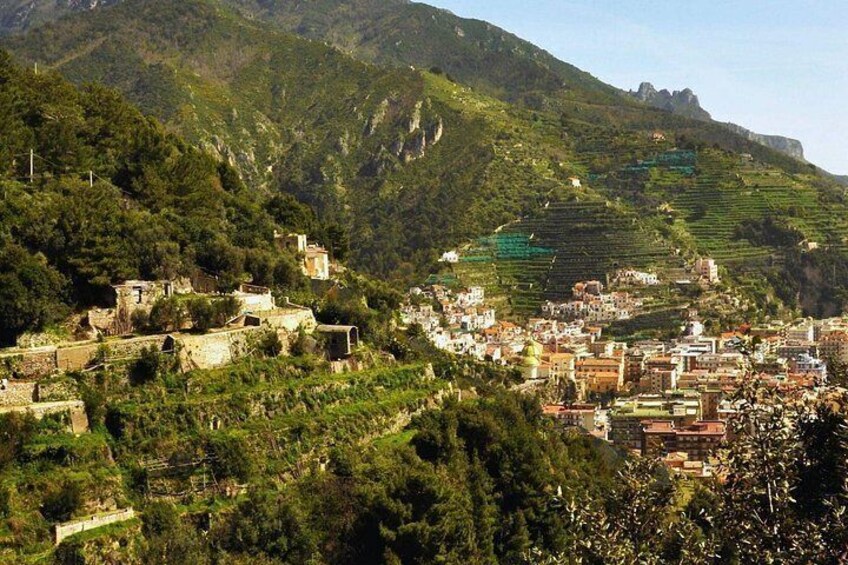 An unforgettable experience of trekking, authentic flavors, and stories to tell. 4
