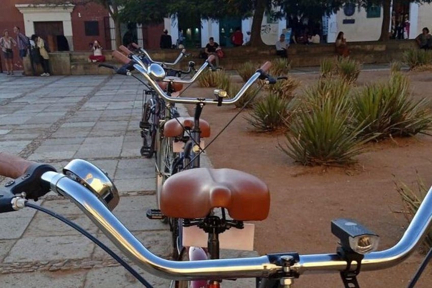 Varias bicicletas estacionadas en un espacio al aire libre con suelo pavimentado y algo de vegetación. 2
