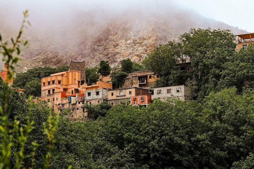 Atlas Mountains Tour from Marrakech: Camel Ride & Berber Lunch 5