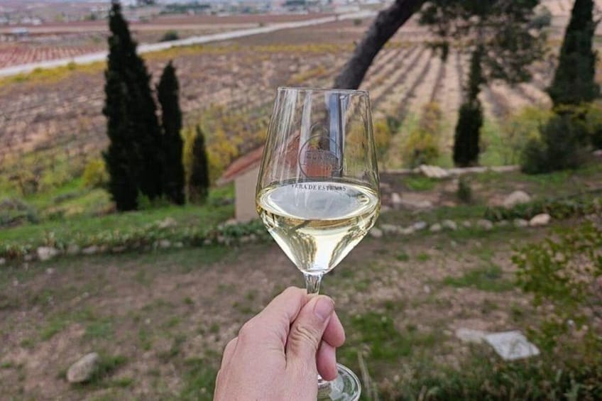 A hand holding a wine glass with a vineyard in the background. 2