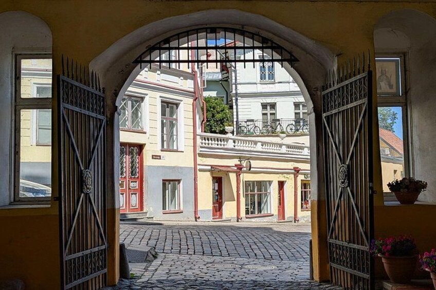 Tallinn Old Town Private Walking Tour with Native Estonian Guide 4