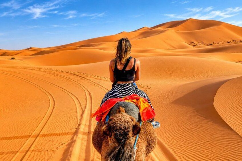 A person riding a camel in a desert with sand dunes. 3