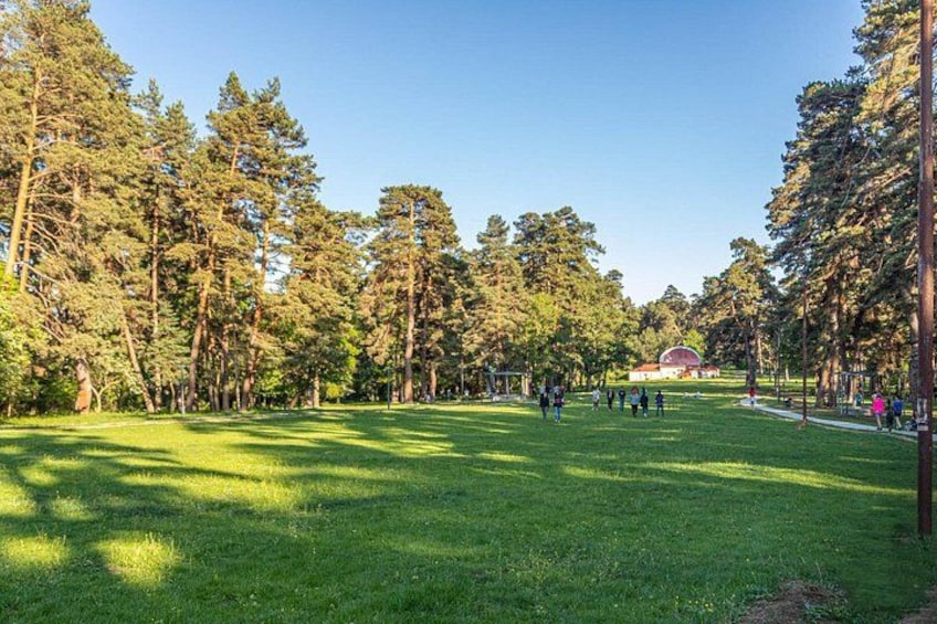 A park with tall trees, a grassy field, and a building in the distance. 4