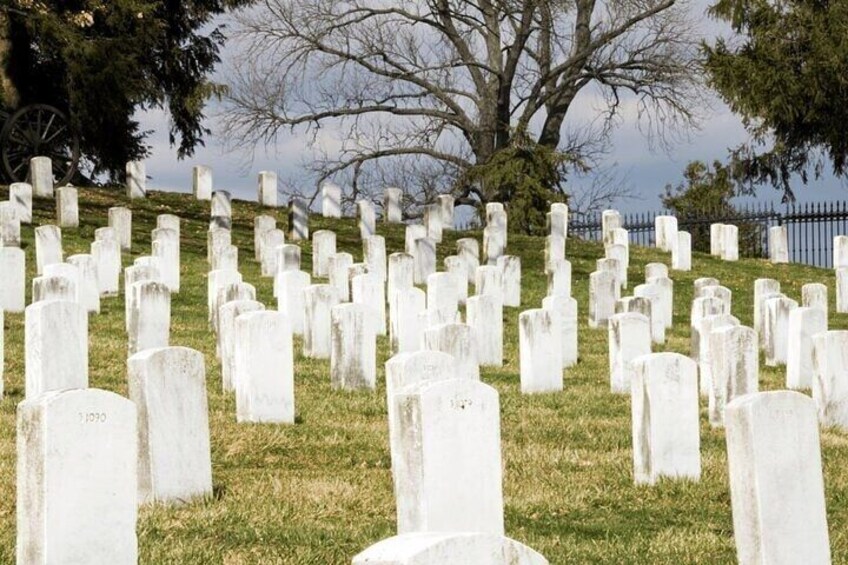 Un cementerio con numerosas lápidas blancas dispuestas en filas. 4