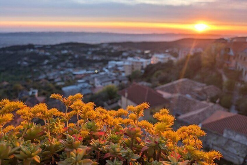 Tramonto su una cittadina costiera con edifici e un primo piano di fiori gialli. 3