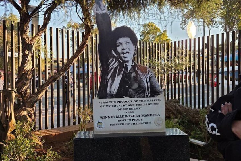 Half-Day Guided Tour of Johannesburg and Soweto Township 4