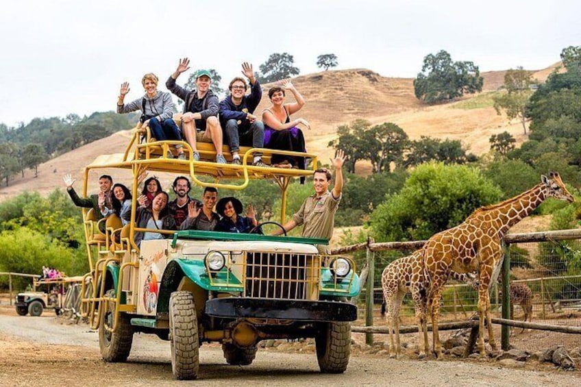 On Safari Wave 2