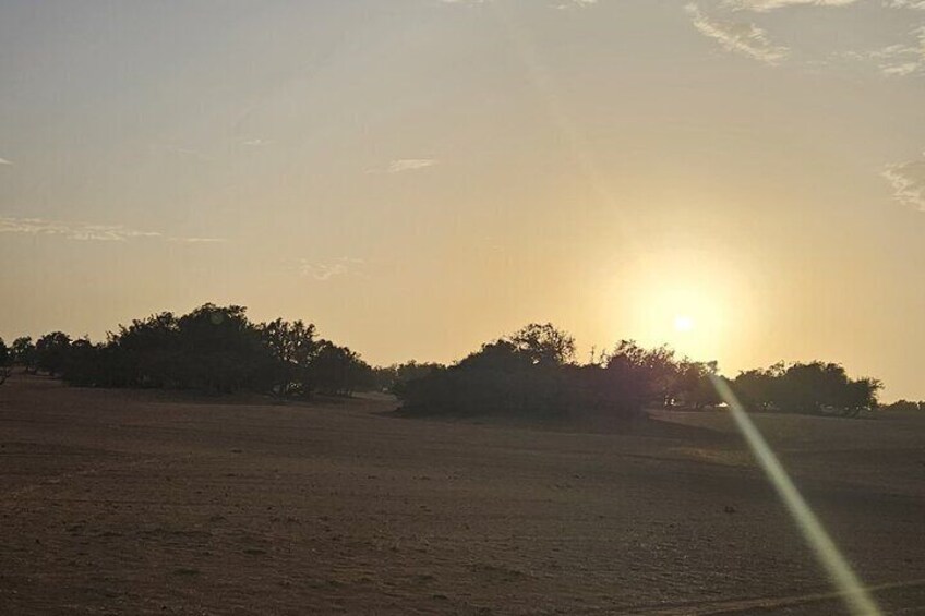 Un atardecer sobre un paisaje plano con árboles silueteados contra el cielo. 1
