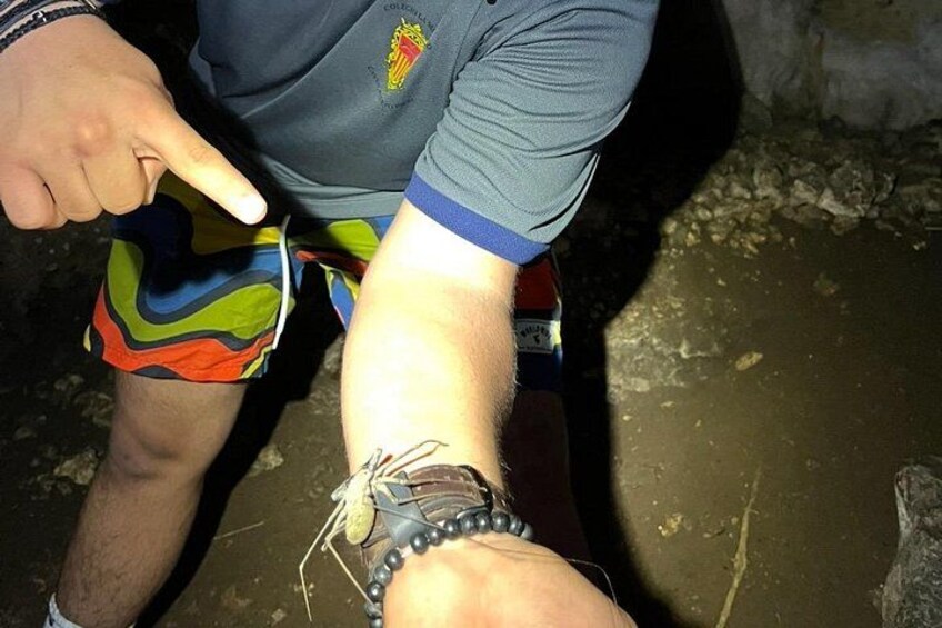 A person wearing colorful shorts and a grey shirt with a logo, pointing at their leg. 2