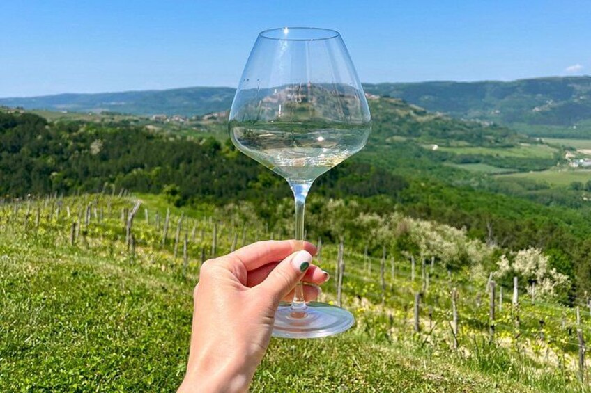 Istria Wine Tour from Island Krk and Rijeka 1