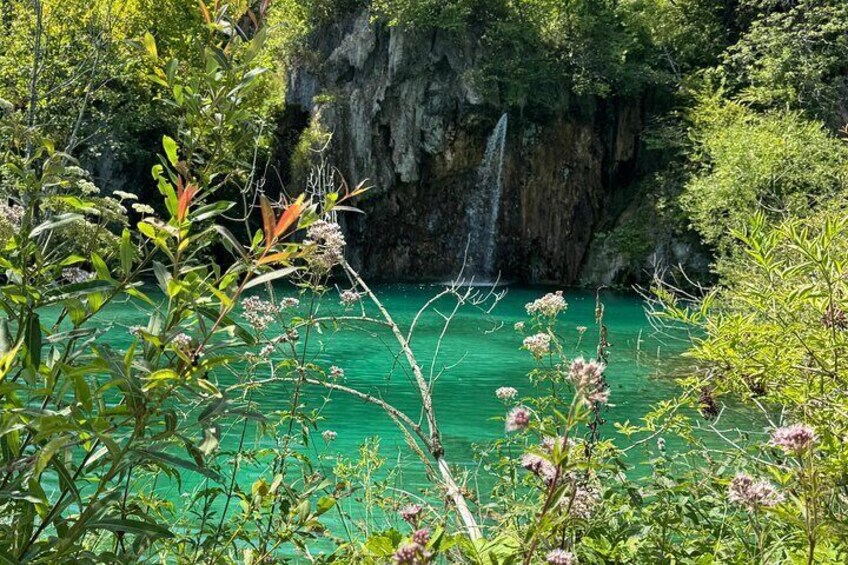 A waterfall cascading into a turquoise pool surrounded by lush greenery. 5