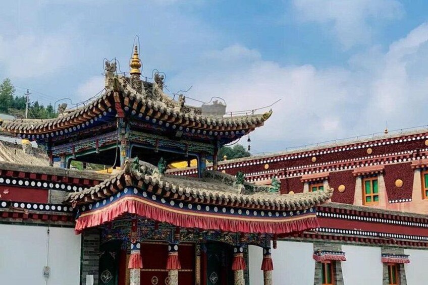 Private Day Trip to Ta’er Monastery and Lake Kokonor 3