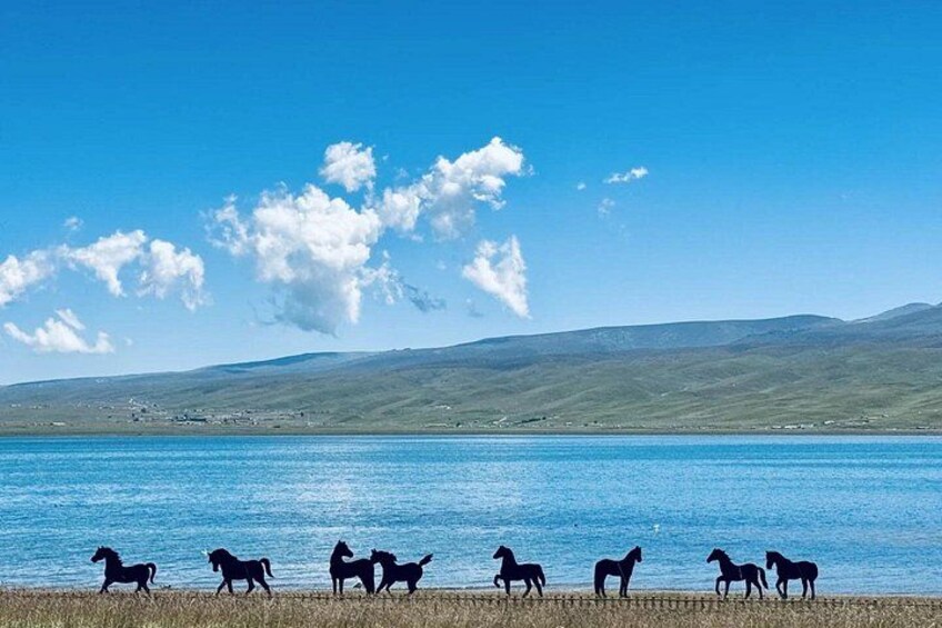 Private Day Trip to Ta’er Monastery and Lake Kokonor 2
