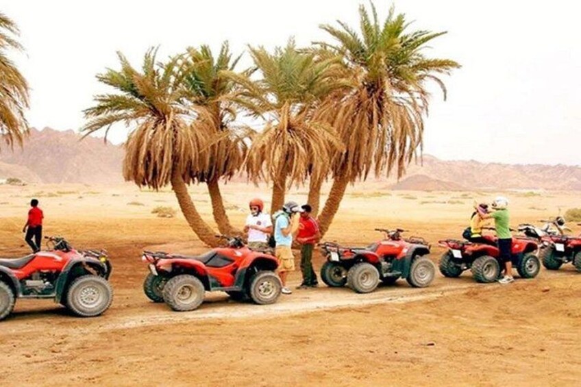 Eine Gruppe von Personen fährt mit Quads durch eine Wüstenlandschaft mit Palmen. 2