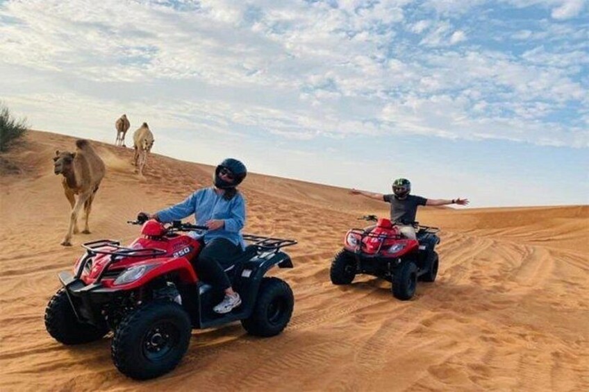 Zwei Personen fahren mit Quads über eine sandige Düne, im Hintergrund sind Kamele zu sehen. 3