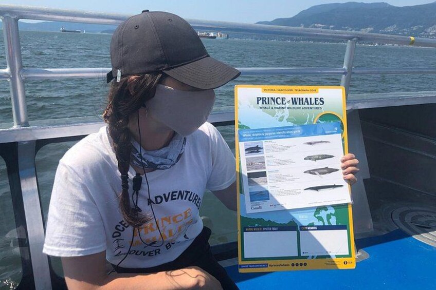 Victoria Highlights & Whale Watching Tour 5