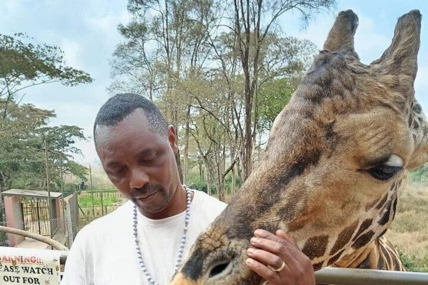 A person petting a giraffe. 3