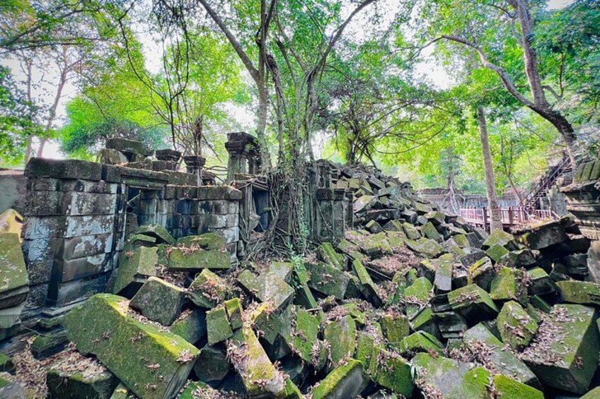 Ancient stone ruins with overgrown vegetation and a tree growing through the structure. 5