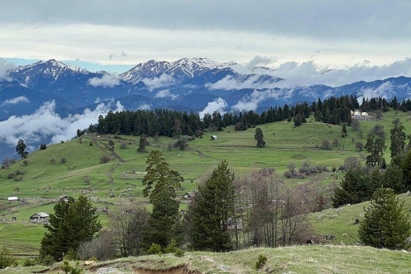 Jeep Tour in Dabadzveli mountain: Off-Road escape from Borjomi 2