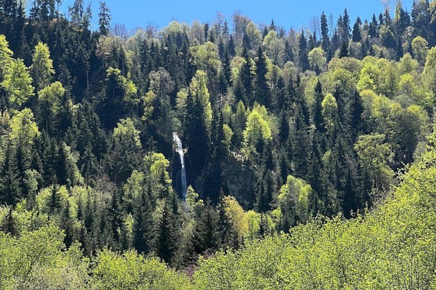 Jeep Tour in Dabadzveli mountain: Off-Road escape from Borjomi 5