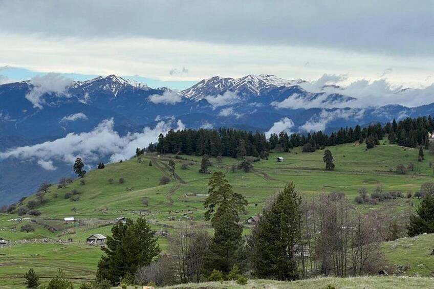 Jeep Tour in Dabadzveli mountain: Off-Road escape from Borjomi 4