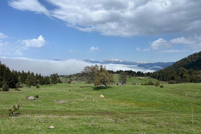 Jeep Tour in Dabadzveli mountain: Off-Road escape from Borjomi 3