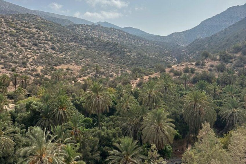 Explore Paradise Valley: Agadir's Hidden Gem 2
