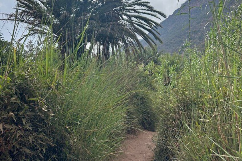 Explore Paradise Valley: Agadir's Hidden Gem 4