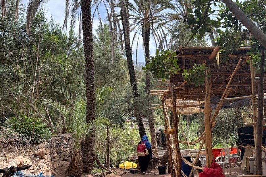 Explore Paradise Valley: Agadir's Hidden Gem 3