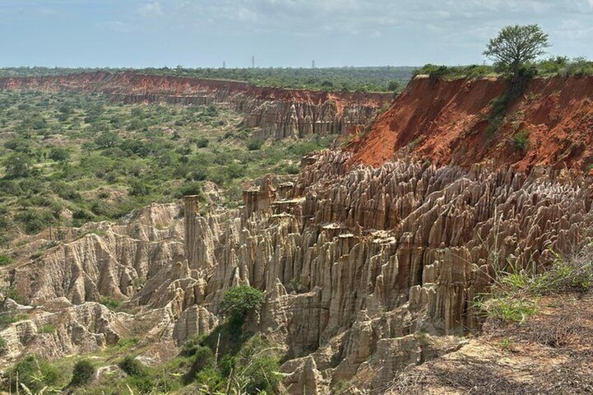 A landscape with tall, narrow rock formations and a tree on a cliff edge. 5
